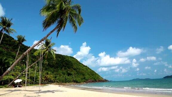 美丽岛屿海滩上的棕榈树