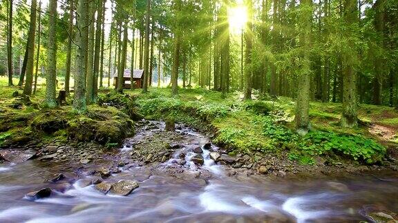 森林溪流-慢镜头