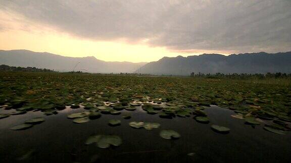 从lake