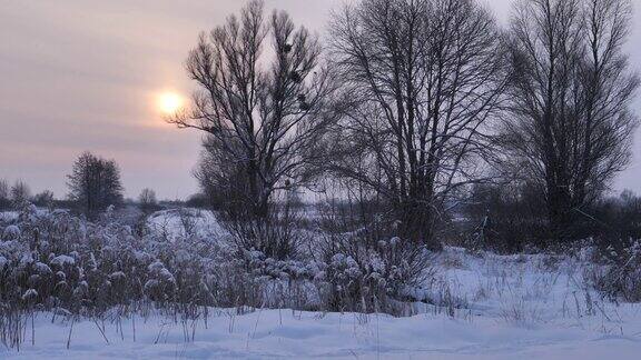 白俄罗斯冬天的傍晚阳光和日落