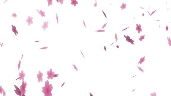 樱花花瓣散射的动画