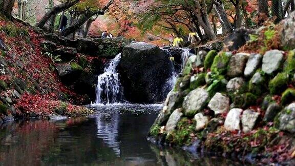高清视频:秋季公园日本