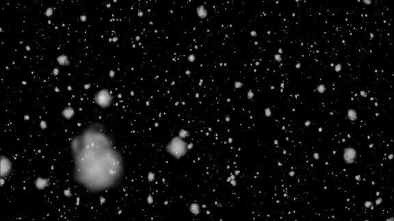 覆盖您的视频与雪花飞在一个孤立的黑色背景下雪的冬天天气的现实动画冬天的夜晚