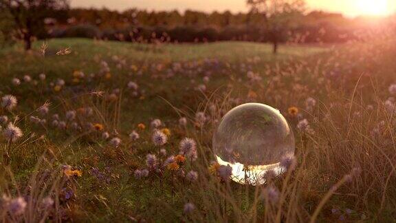 傍晚阳光下的草地和玻璃球