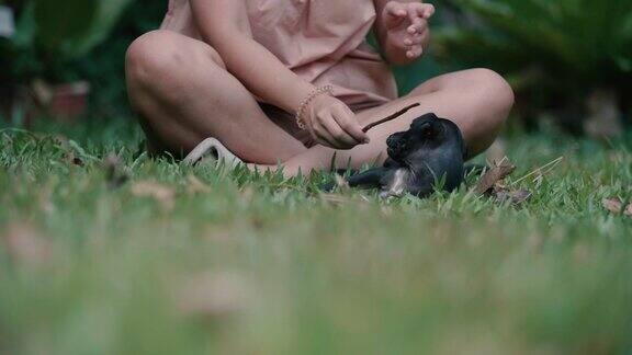 一个年轻女子在草地上和她的狗玩耍