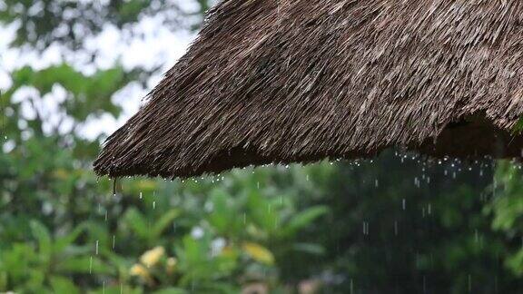 热带夏雨滴落在花园的稻草屋顶上印尼巴厘岛