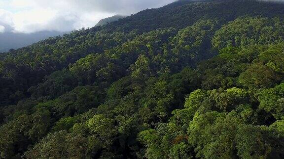 哥斯达黎加阿雷纳尔火山的无人机丛林