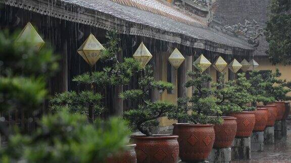 越南顺化市的纸灯笼在季风暴雨中被淋湿