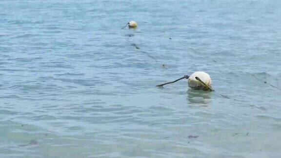 泰国水面上的白色钓鱼浮标