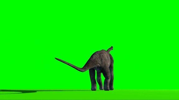腕龙恐龙在绿屏上看