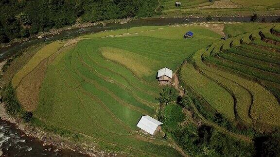 鸟瞰图梯田的农场在丘陵或山区地形美丽的风景梯田在越南的木仓chai农业收获梯田是传统的东南亚农业
