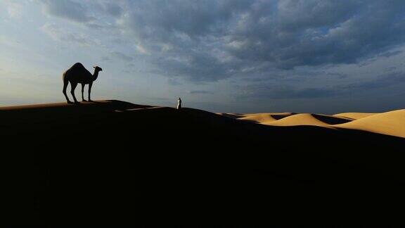 一个阿拉伯人在沙丘中向骆驼走去
