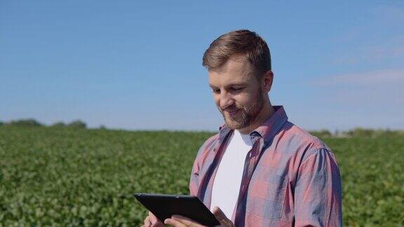 一个年轻的农民在平板上记录大豆在地里生长的特性