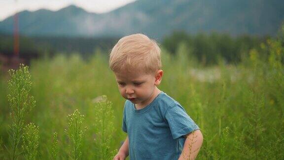 蹒跚学步的小男孩在草地上玩耍