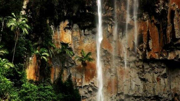 棕榈树和潺潺的小溪瀑布