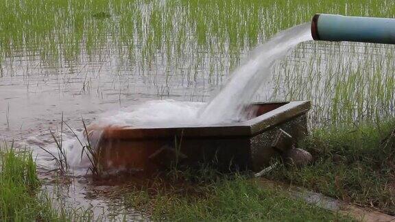 水从管子流入盆里的水