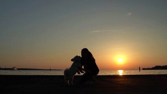 在日落的海岸线上成年妇女拥抱她的狗