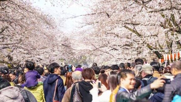 人们在上野公园享受樱花节