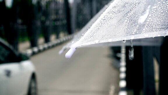 在雨天的交通伞的特写