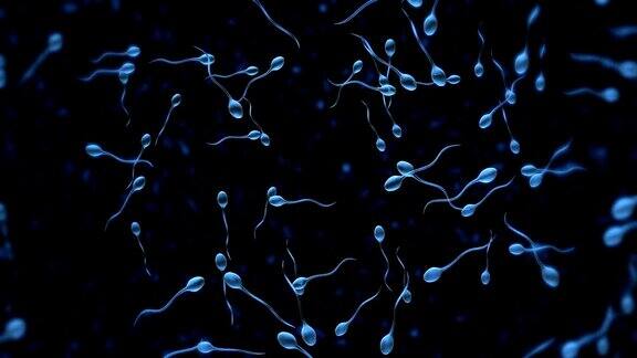 精子运动的蓝色