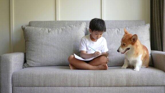 亚洲孩子和狗狗一起在线学习新常态研究与检疫