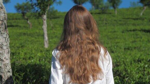 长发女孩走在茶树慢镜头特写