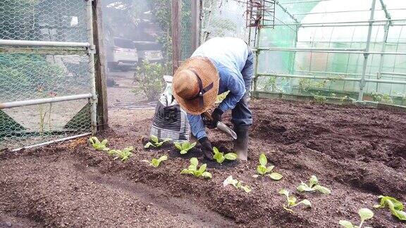 在花园里工作的日本老农