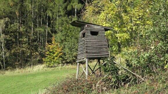 木制的瞭望塔用于在森林中打猎
