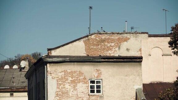 古老的欧洲砖房鸽子屋顶上的窗户打开了
