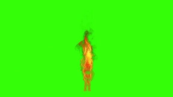 酷女孩剪影在火焰做一个性感的舞蹈绿色屏幕Chromakey