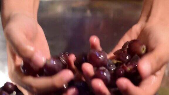 葡萄果酒的家装加工彻底水果用手压碎