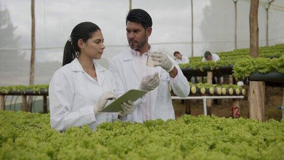 园艺学家在水培生菜作物的水的样本说话而妇女在药片上做笔记