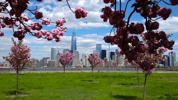 纽约的春天