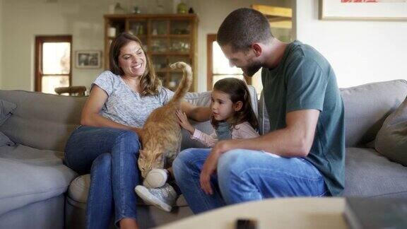 父母和女儿在家里玩猫