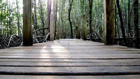 木头桥