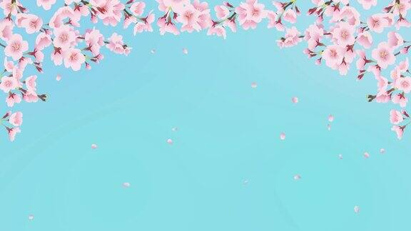 樱花盛开春风拂面樱花拱门(蓝天背景)