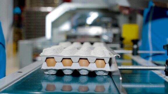 蛋品包装线蛋品生产