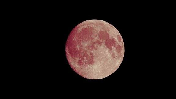 黑色天空背景下的红色满月用长焦镜头从地球表面拍摄月亮在晴朗的天空中发光的特写