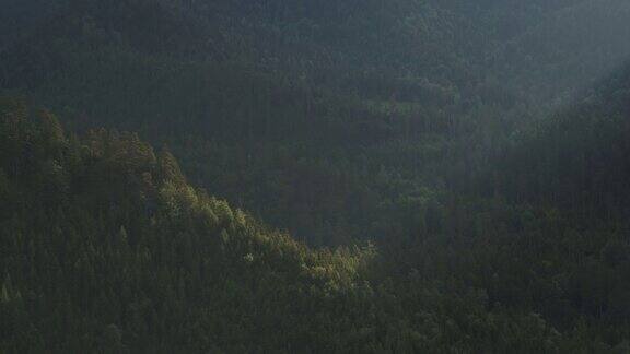 无人机拍摄的光线击中山区森林的细节