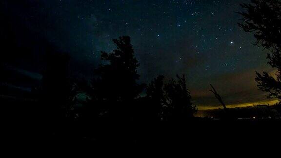 狐尾松野外的夜空