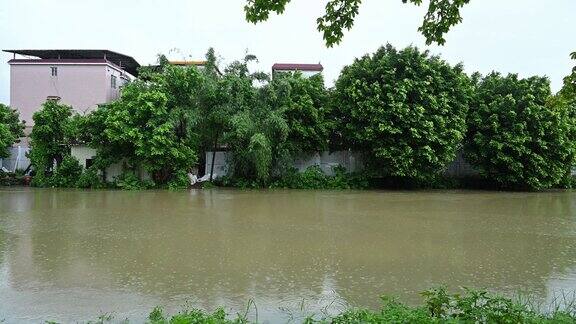 河在一个下雨天视频与声音