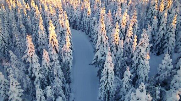 越野滑雪坡道穿过覆盖着厚厚的积雪的北极森林