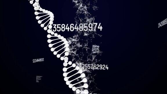 dna链在数据处理和连接网络上旋转的动画