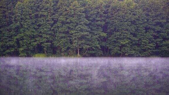 湖边绿树成荫的森林倒影在平静的水面和雾霭之上