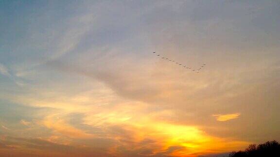 一群鸟在日落时飞翔