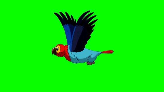 色彩鲜艳的鹦鹉苍蝇经典手工制作的动画