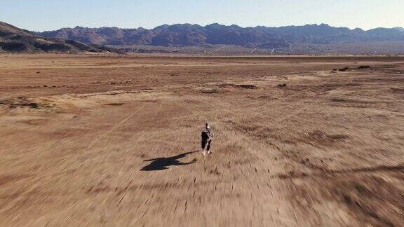 在沙漠中全速奔跑的狗