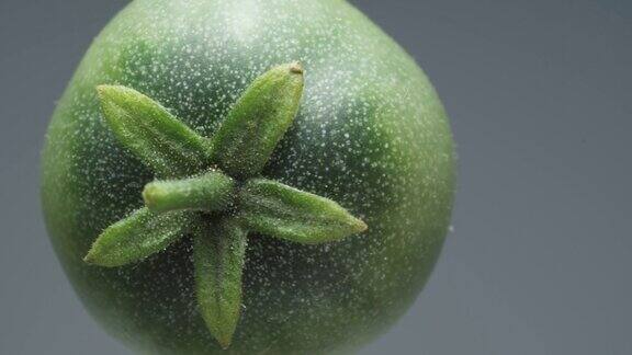 绿色的小樱桃番茄在灰色背景上旋转特写