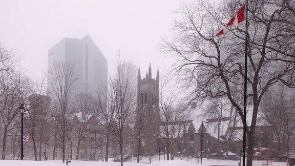 蒙特利尔广场的加拿大暴风雪冬季景象与加拿大国旗