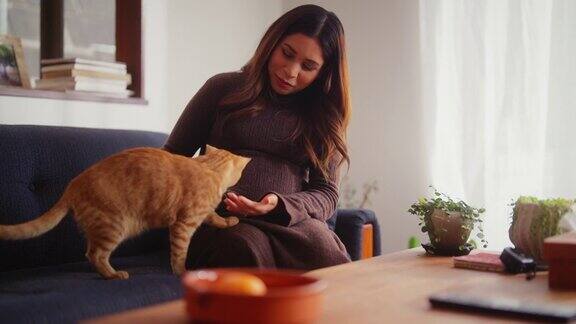 一位孕妇和她的姜黄色猫在家里的客厅里共度时光